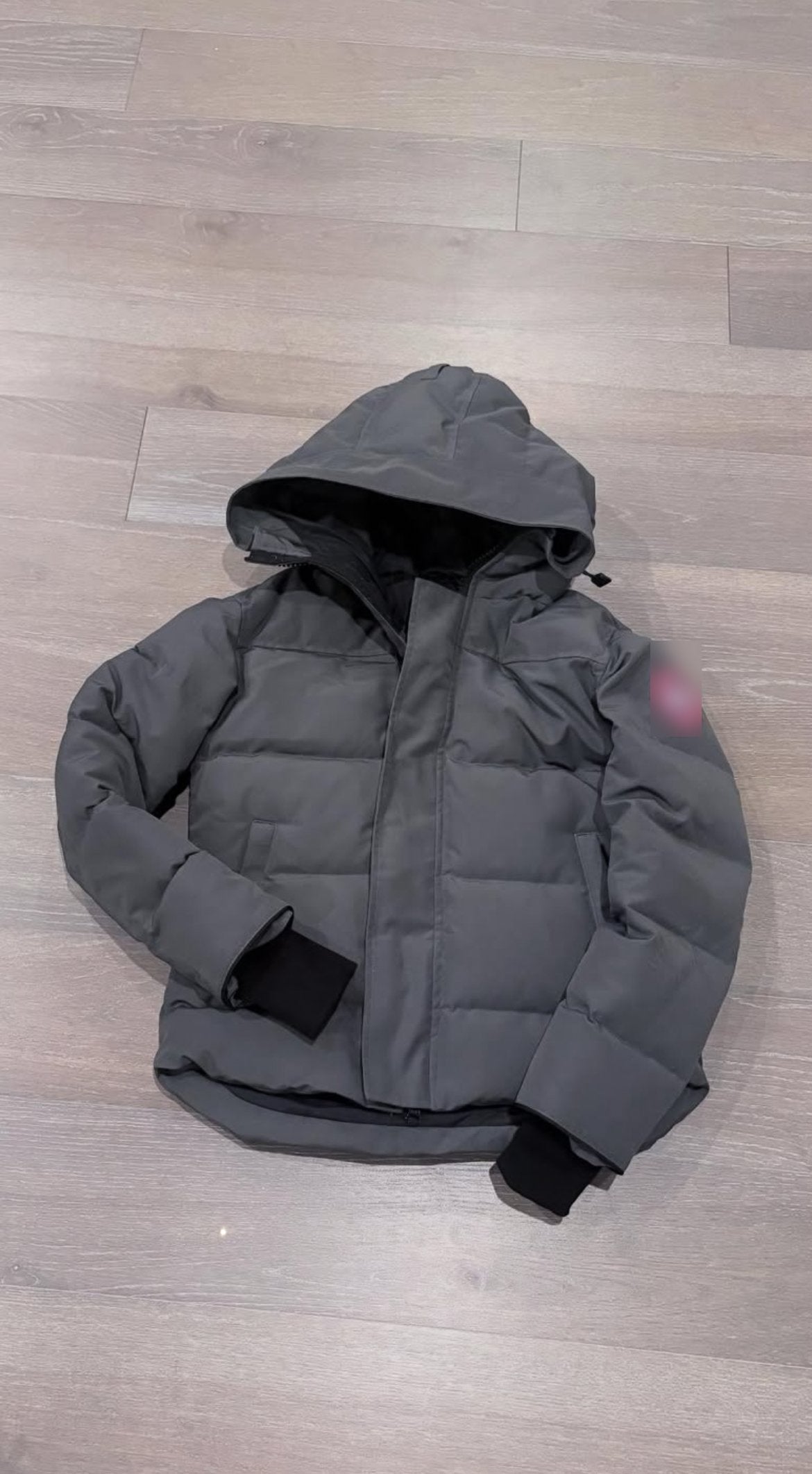 CD puffer jacket